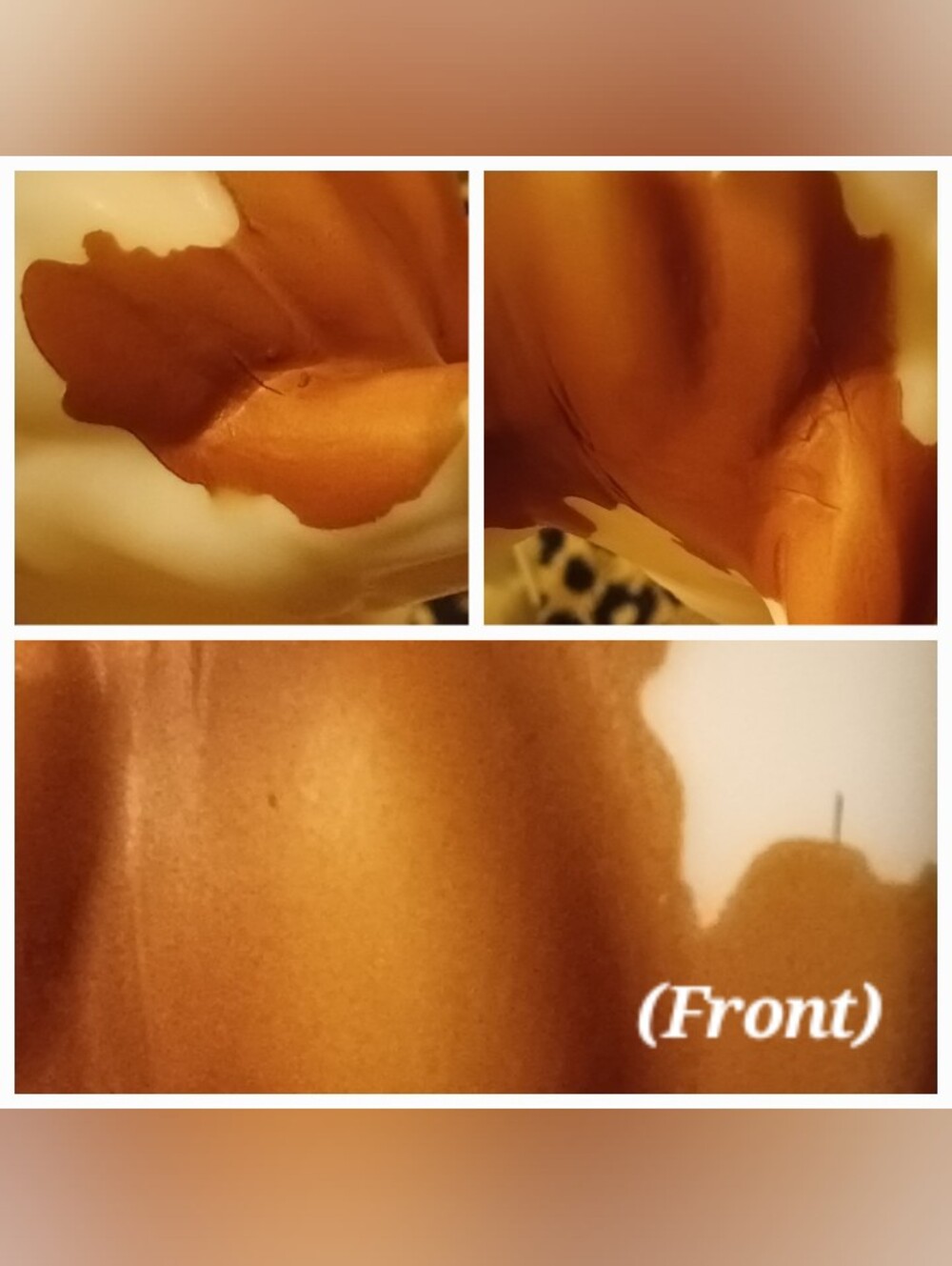 Breyer Pinto Maya - Picture 14 of 16